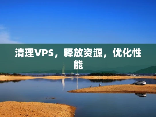 清理VPS，释放资源，优化性能