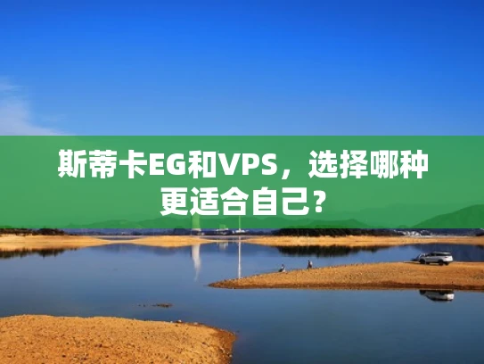 斯蒂卡EG和VPS，选择哪种更适合自己？