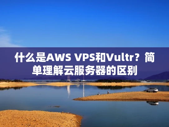 什么是AWS VPS和Vultr？简单理解云服务器的区别