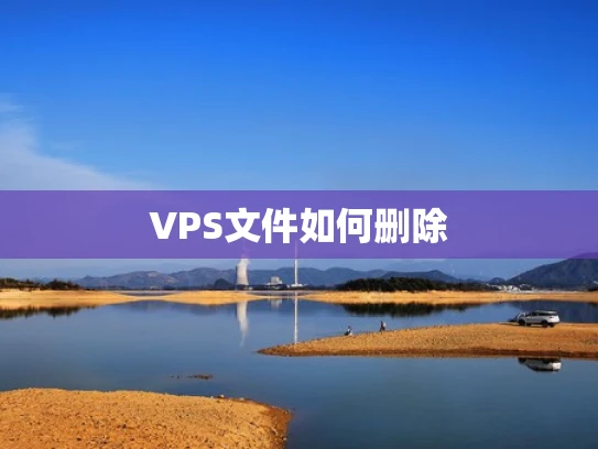 VPS文件如何删除