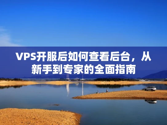 VPS开服后如何查看后台，从新手到专家的全面指南