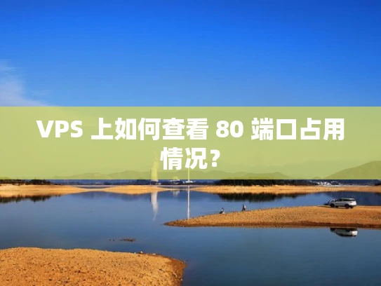 VPS 上如何查看 80 端口占用情况？