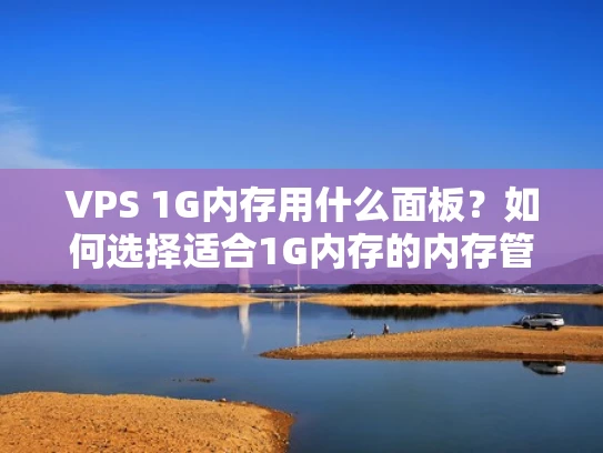 VPS 1G内存用什么面板？如何选择适合1G内存的内存管理面板