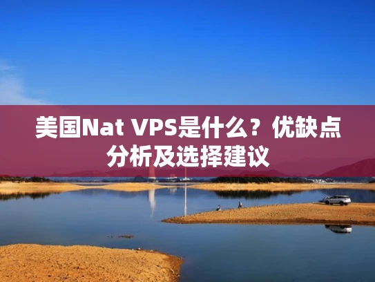 美国Nat VPS是什么？优缺点分析及选择建议