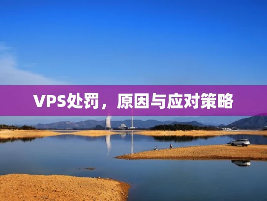 VPS处罚，原因与应对策略