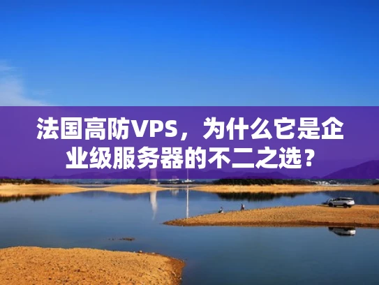 法国高防VPS，为什么它是企业级服务器的不二之选？