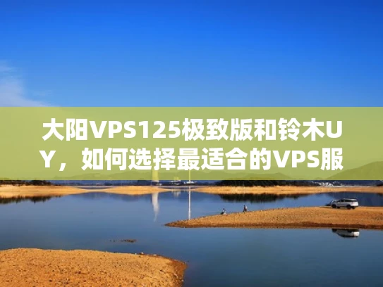 大阳VPS125极致版和铃木UY，如何选择最适合的VPS服务？
