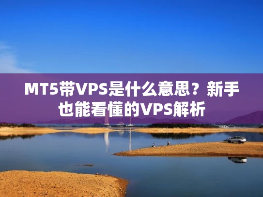 MT5带VPS是什么意思？新手也能看懂的VPS解析