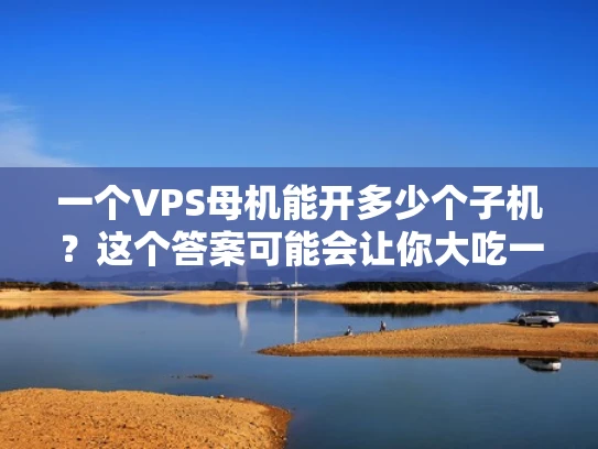 一个VPS母机能开多少个子机？这个答案可能会让你大吃一惊！