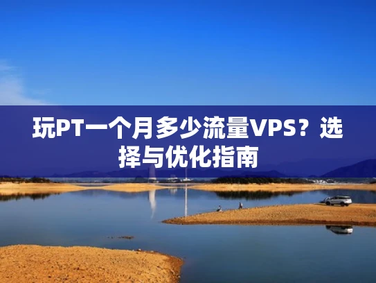 玩PT一个月多少流量VPS？选择与优化指南