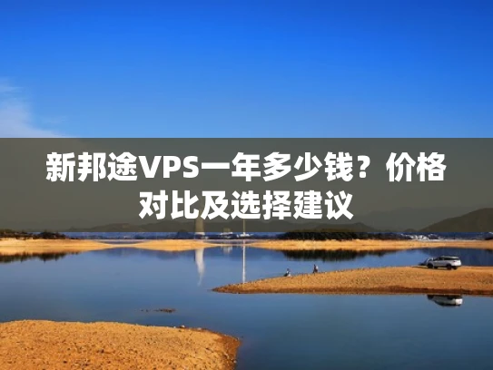 新邦途VPS一年多少钱？价格对比及选择建议