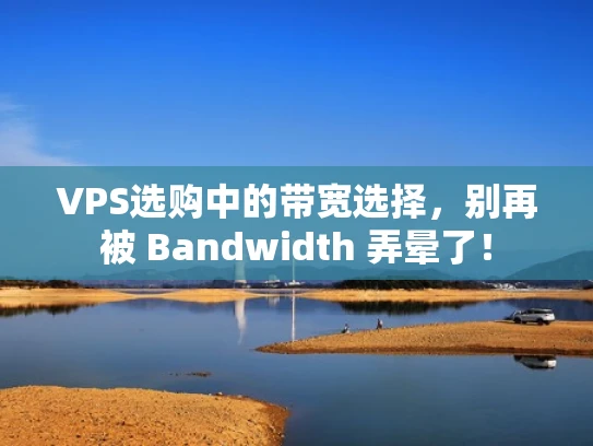 VPS选购中的带宽选择，别再被 Bandwidth 弄晕了！