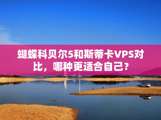 蝴蝶科贝尔5和斯蒂卡VPS对比，哪种更适合自己？