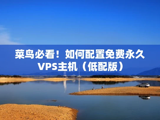 菜鸟必看！如何配置免费永久VPS主机（低配版）