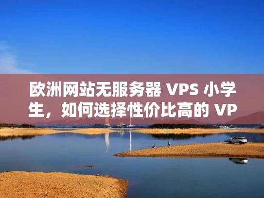 欧洲网站无服务器 VPS 小学生，如何选择性价比高的 VPS 服务