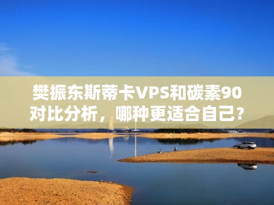 樊振东斯蒂卡VPS和碳素90对比分析，哪种更适合自己？