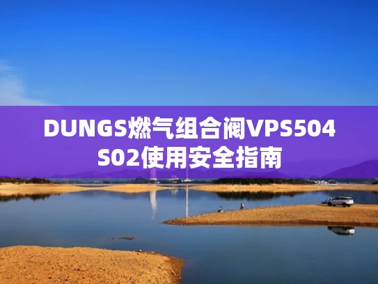 DUNGS燃气组合阀VPS504S02使用安全指南