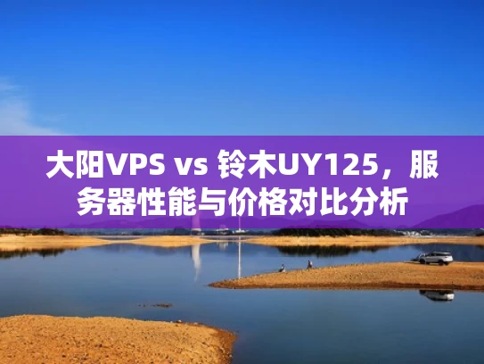 大阳VPS vs 铃木UY125，服务器性能与价格对比分析