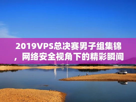 2019VPS总决赛男子组集锦，网络安全视角下的精彩瞬间解析