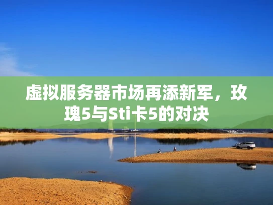 虚拟服务器市场再添新军，玫瑰5与Sti卡5的对决