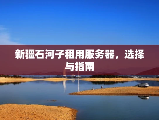 新疆石河子租用服务器，选择与指南