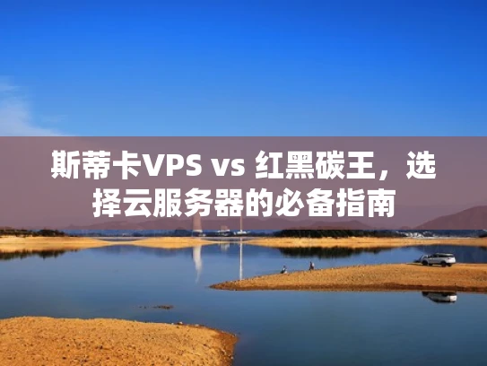 斯蒂卡VPS vs 红黑碳王，选择云服务器的必备指南