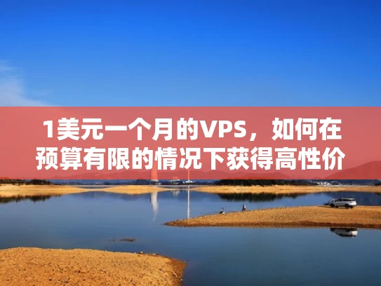 1美元一个月的VPS，如何在预算有限的情况下获得高性价比的虚拟服务器？
