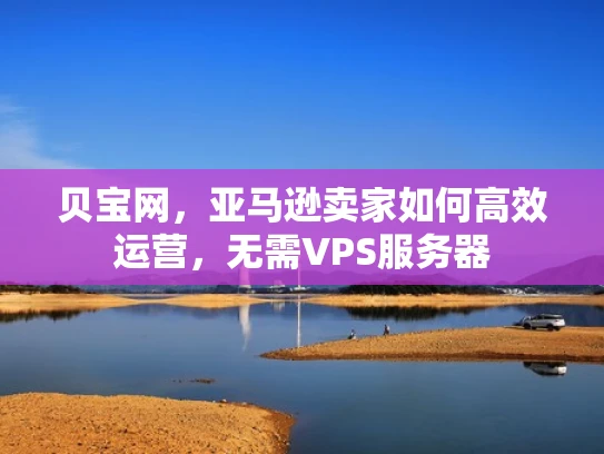 贝宝网，亚马逊卖家如何高效运营，无需VPS服务器