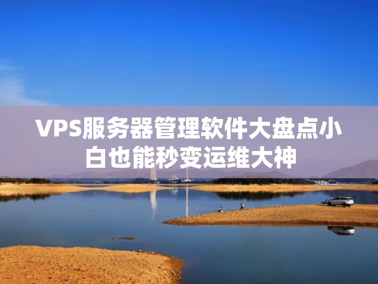 VPS服务器管理软件大盘点小白也能秒变运维大神