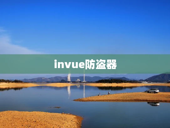 invue防盗器