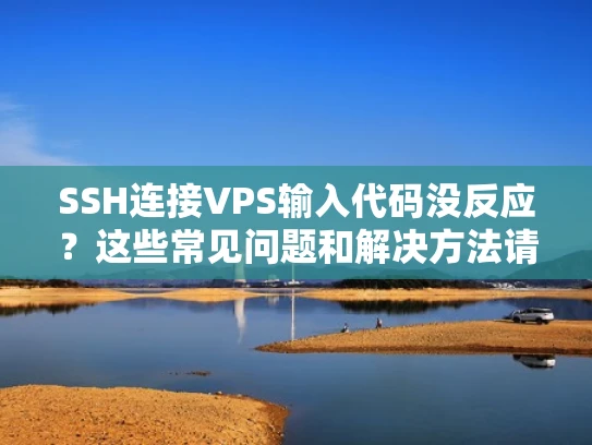 SSH连接VPS输入代码没反应？这些常见问题和解决方法请收好！
