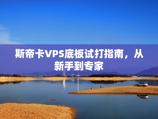 斯帝卡VPS底板试打指南，从新手到专家