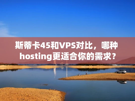 斯蒂卡45和VPS对比，哪种 hosting更适合你的需求？