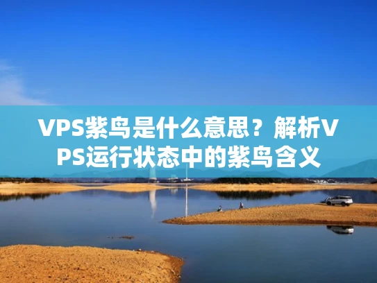 VPS紫鸟是什么意思？解析VPS运行状态中的紫鸟含义