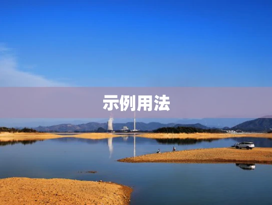 示例用法