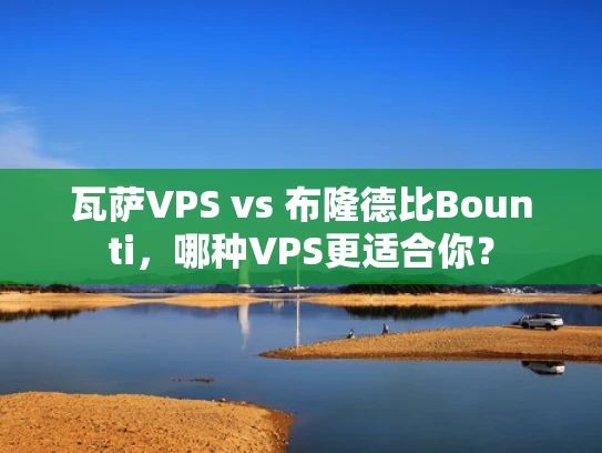瓦萨VPS vs 布隆德比Bounti，哪种VPS更适合你？