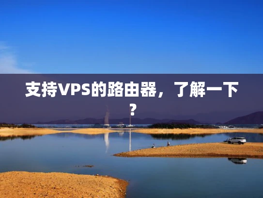 支持VPS的路由器，了解一下？