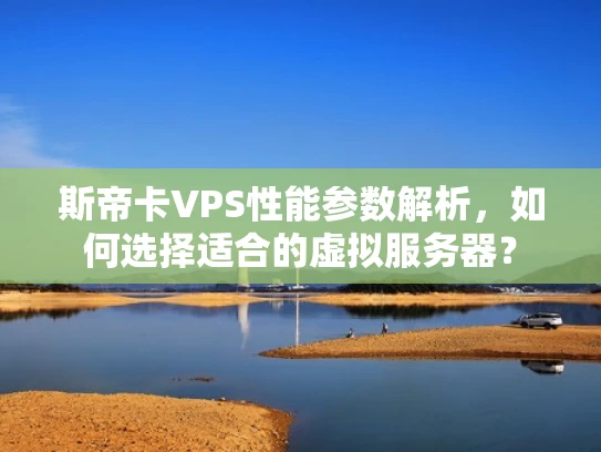 斯帝卡VPS性能参数解析，如何选择适合的虚拟服务器？
