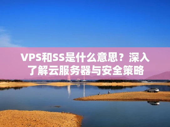 VPS和SS是什么意思？深入了解云服务器与安全策略
