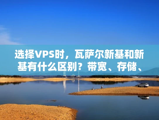 选择VPS时，瓦萨尔新基和新基有什么区别？带宽、存储、带宽类型，这些参数该如何选择？