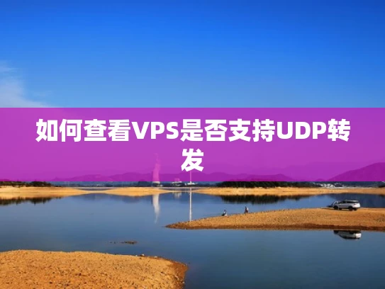 如何查看VPS是否支持UDP转发