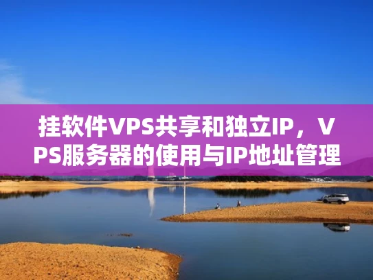 挂软件VPS共享和独立IP，VPS服务器的使用与IP地址管理指南