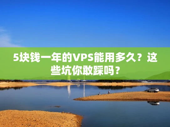 5块钱一年的VPS能用多久？这些坑你敢踩吗？
