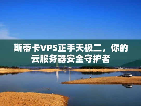 斯蒂卡VPS正手天极二，你的云服务器安全守护者
