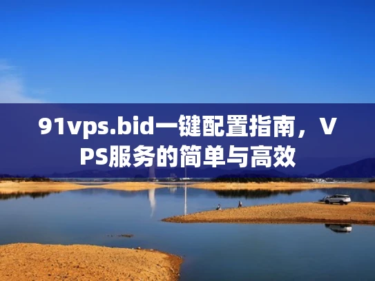 91vps.bid一键配置指南，VPS服务的简单与高效