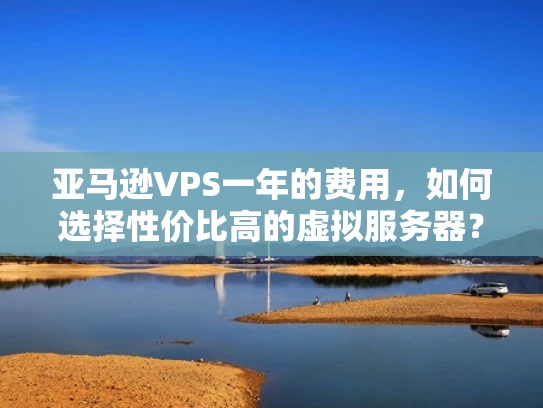 亚马逊VPS一年的费用，如何选择性价比高的虚拟服务器？