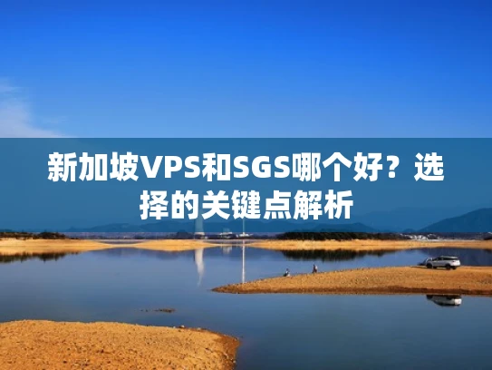 新加坡VPS和SGS哪个好？选择的关键点解析