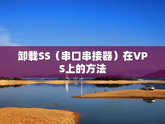 卸载SS（串口串接器）在VPS上的方法