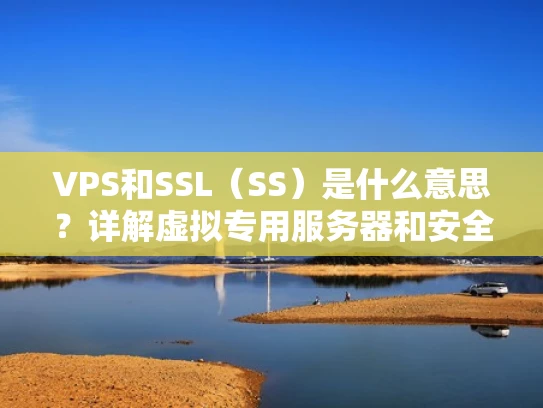 VPS和SSL（SS）是什么意思？详解虚拟专用服务器和安全传输技术