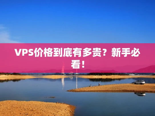 VPS价格到底有多贵？新手必看！